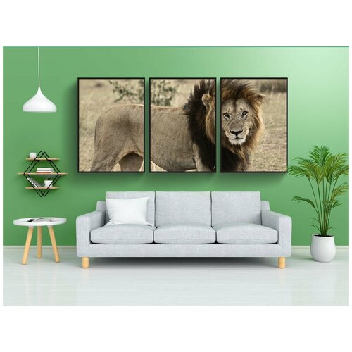 фото Набор модулных постеров для интерьера "лев, кошка, сафари" 60x90 см. в тубусе, без рамки lotsprints