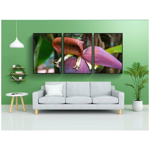 фото Набор модулных постеров для интерьера "банан, дерево, цветок" 60x90 см. в тубусе, без рамки lotsprints