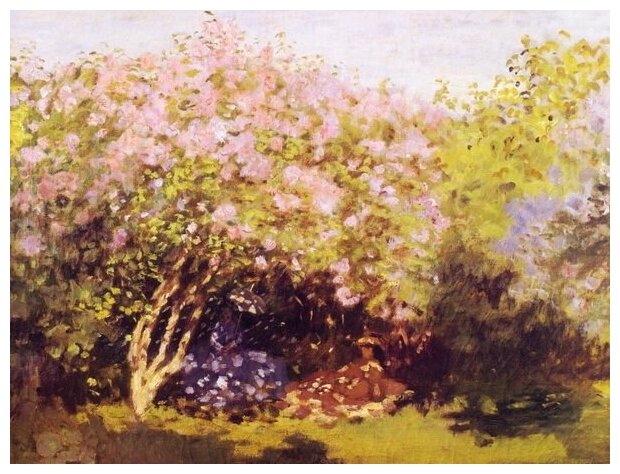 Репродукция на холсте Сирень на солнце (Lilacs in the Sun) Моне Клод 53см. x 40см.