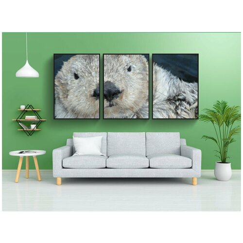 фото Набор модулных постеров для интерьера "выдра, куница, пловец" 60x90 см. в тубусе, без рамки lotsprints