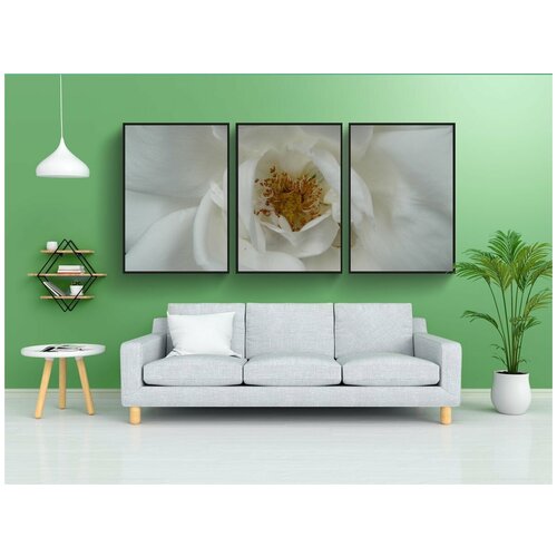 фото Набор модулных постеров для интерьера "роза, белый, лепестки" 60x90 см. в тубусе, без рамки lotsprints