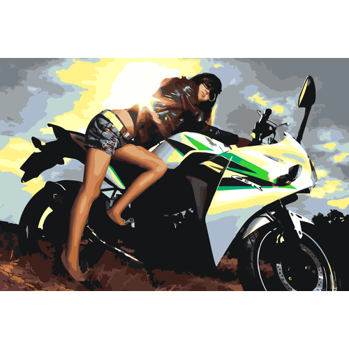 Картина по номерам Девушка и спортивный мотоцикл на стену картина по номерам туристический мотоцикл на стену