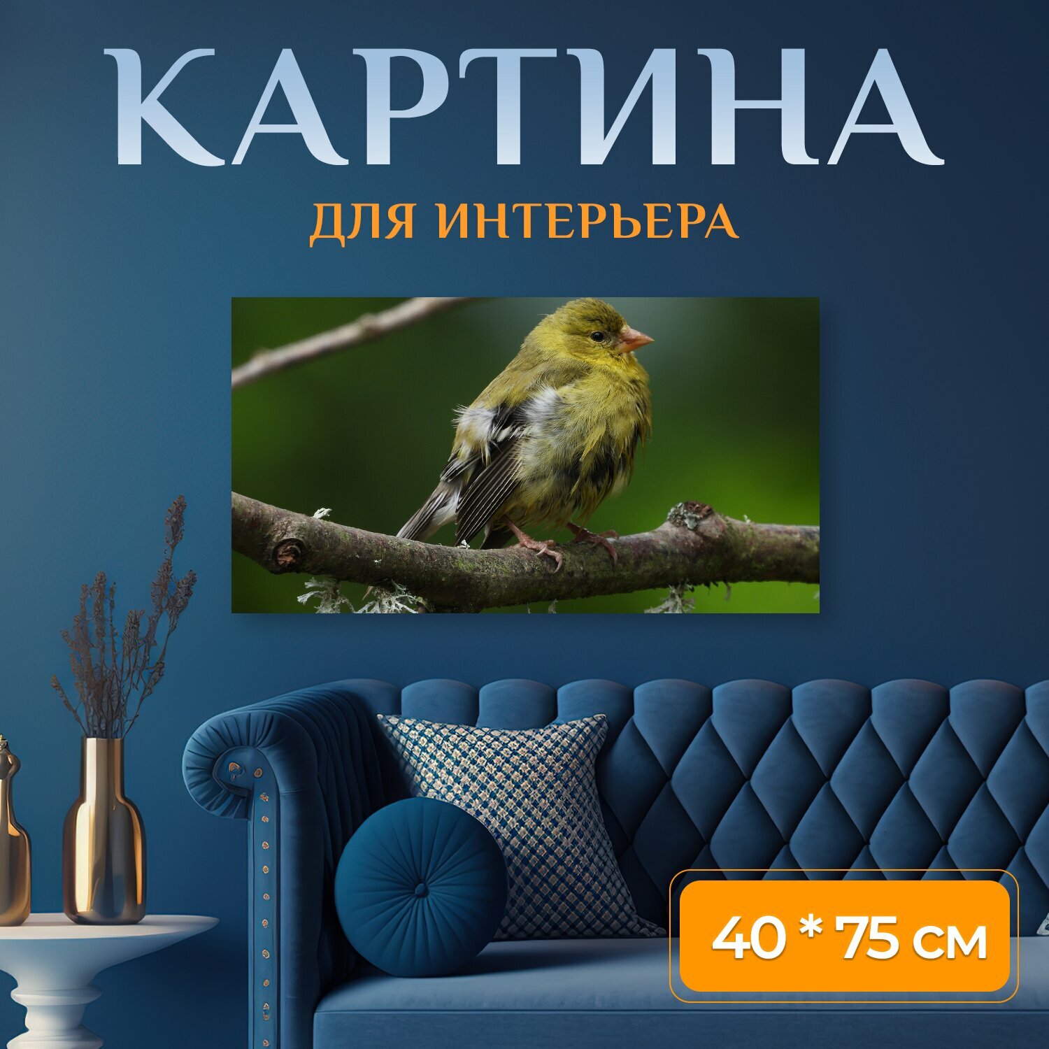 Картина на холсте "Щегол, птица, природа" на подрамнике 75х40 см. для интерьера