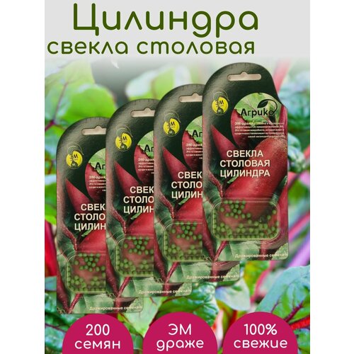 Свекла столовая Цилиндра семена ЭМ драже 4 упаковки свекла столовая царица семена эм драже 2 упаковки