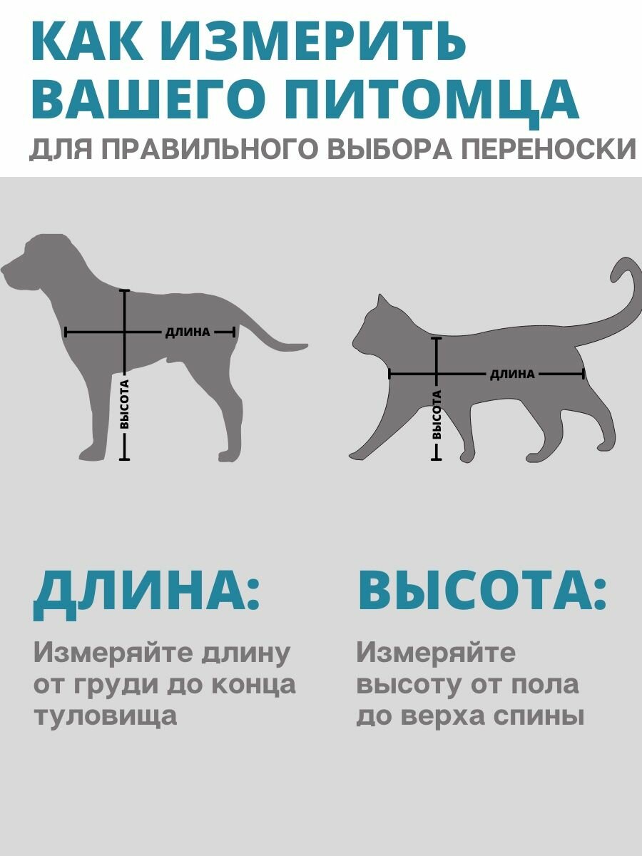 Сумка переноска для кошек и собак складная — фото 1