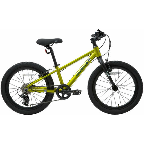 MAXISCOO 5Bike 20 Стандарт 2024 фреш лайм M 2990000₽