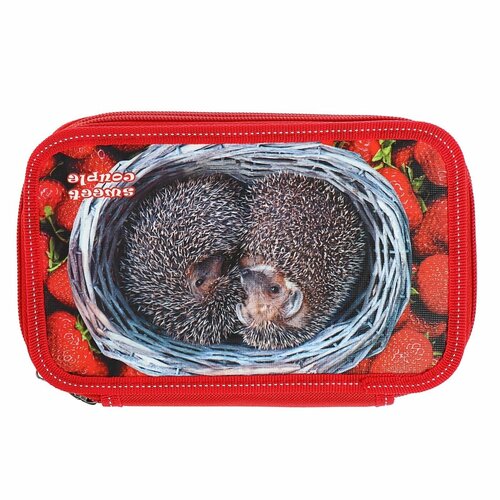 Пенал Ежик в клубнике 3-х секционный красный 12х19.5х4.5.