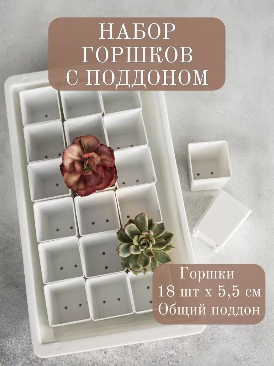 Набор горшки с поддоном для кактусов суккулентов