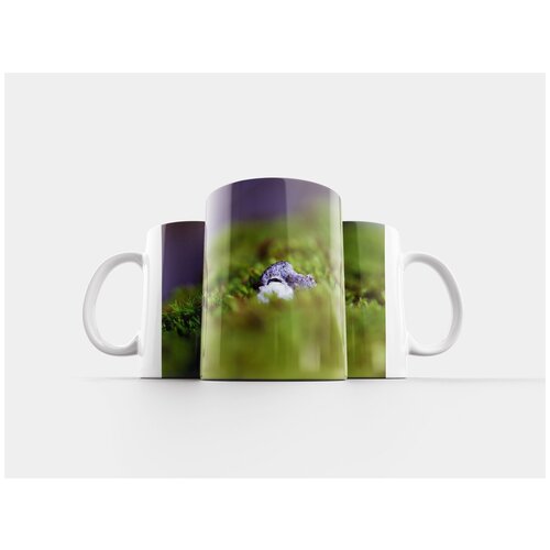 фото Кружка "камень, мох, природа" 320 мл lotsprints