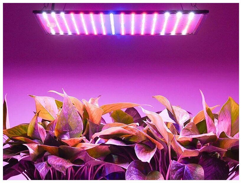 Фитолампа для растений и рассады 50-1000 Вт полный спектр, фиолетовый свет / фитосветильник подвесной - фотография № 4