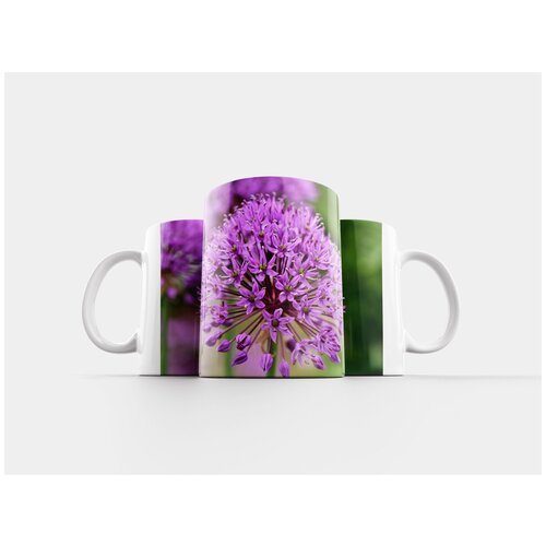 фото Кружка "декоративные лук, allium stratos, лук" 320 мл lotsprints