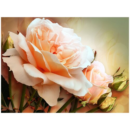 Фотообои Уютная стена Персиковая роза 3D 360х270 см Бесшовные Премиум (единым полотном)