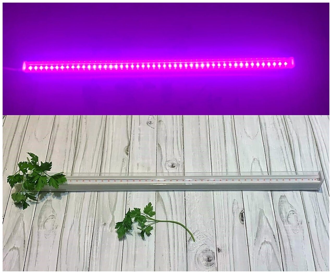 Фитосветильник, для растений, линейный, светодиодный, LWL-2014-04CL, 10 Вт, 570мм