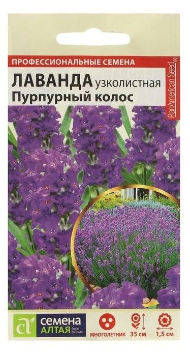 Семена цветов Лаванда "Пурпурный колос", узколистная, Сем. Алт, ц/п, 5 шт 7349852