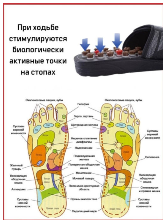 Массажные тапочки Massage Slipper 38/39 - фотография № 5