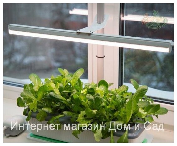 Светодиодный растущий фитосветильник Здоровья Клад 16 Вт для подсветки растений - фотография № 7