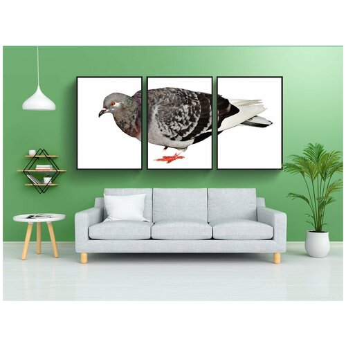 фото Набор модулных постеров для интерьера "город голубь, собирательство, голубь" 60x90 см. в тубусе, без рамки lotsprints