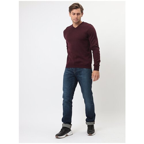 Джемпер мужской CASINO c124-842 ежевика, Прямой силуэт / Сlassic fit, цвет Ежевика, размер 56