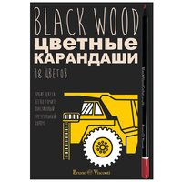 Карандаши цветные пластиковые "BlackWoodColor", 18 цветов, 4 вида. Цена за 1 набор.