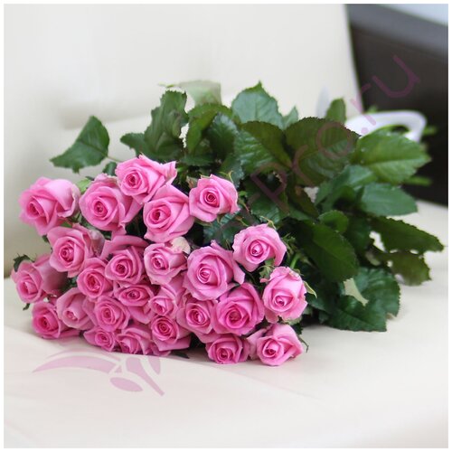 25 розовых роз Ревиваль 80 см
