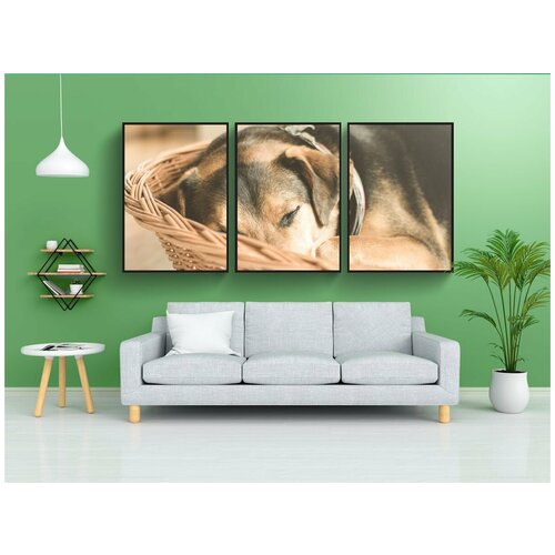 фото Набор модулных постеров для интерьера "животное, корзина, уютный" 60x90 см. в тубусе, без рамки lotsprints