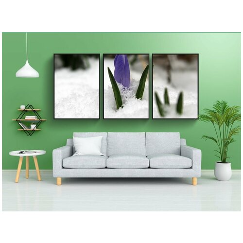 фото Набор модулных постеров для интерьера "крокус, март, возвращение зимы" 60x90 см. в тубусе, без рамки lotsprints