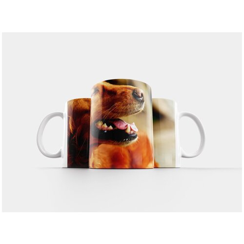 фото Кружка "ирландский сеттер, собака, шерсть" 320 мл lotsprints