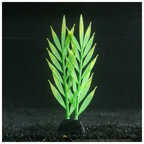 --- Растение силиконовое аквариумное, светящееся в темноте, 6,5 х 18 см, зелёное