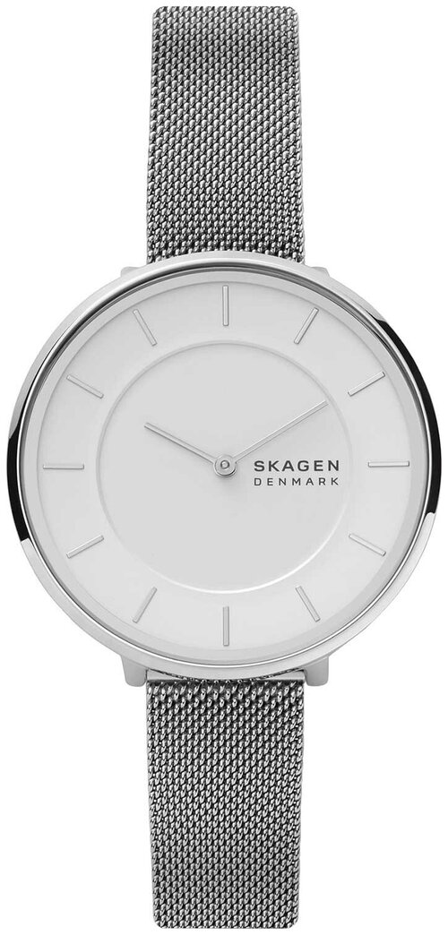 Наручные часы SKAGEN SKW3016, серебряный