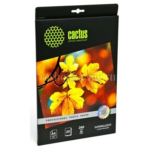 Фотобумага Cactus Prof CS-HGA426020 A4/260г/м2/20л./белый глянцевое для струйной печати