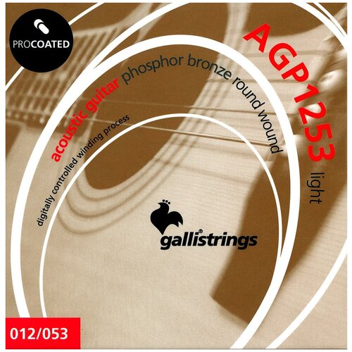 Струны GALLI STRINGS AGP1253