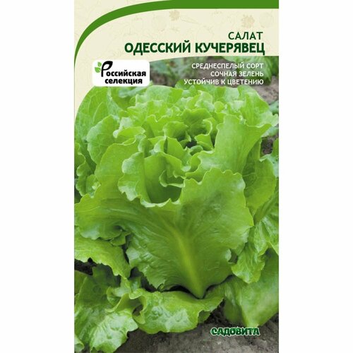 Салат семена Садовита Одесский кучерявец семена салат кучерявец одесский 0 5 гр