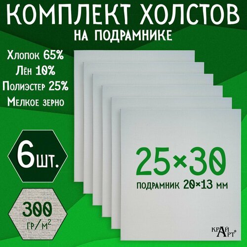 Холст на подрамнике для творчества, 25х30 см (6 шт.), грунтованный, мелкое зерно, для работы масляными, акриловыми и темперными красками