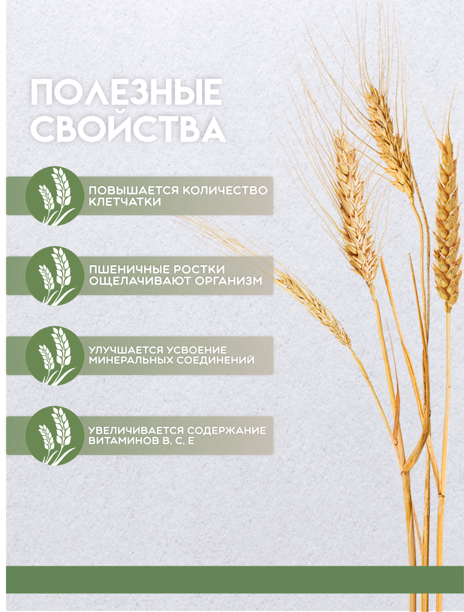 Пшеница цельнозерновая зерно микрозелень для проращивания, самогоноварения, пивоварения, приготовления витграсс, пшеничного молочка, кваса