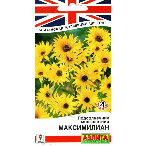 Подсолнечник многолетний Максимилиан (3 упаковки)