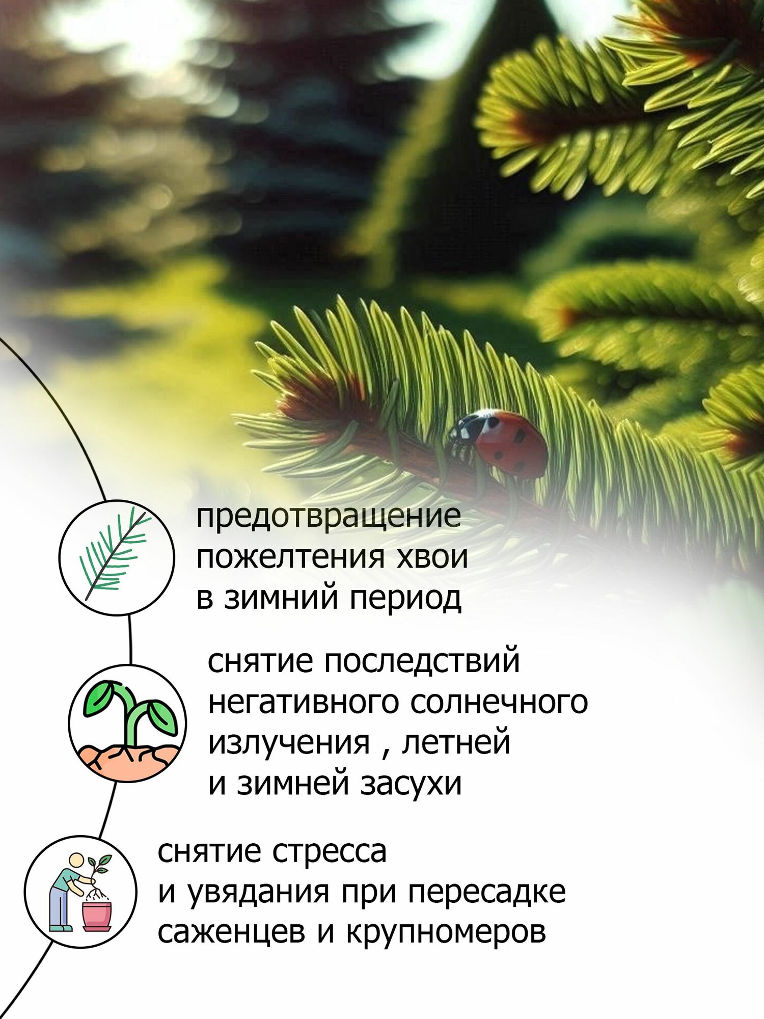 Изображение Пуршат-О спрей для защиты хвойных от ожогов и пересыхания 0,5 л