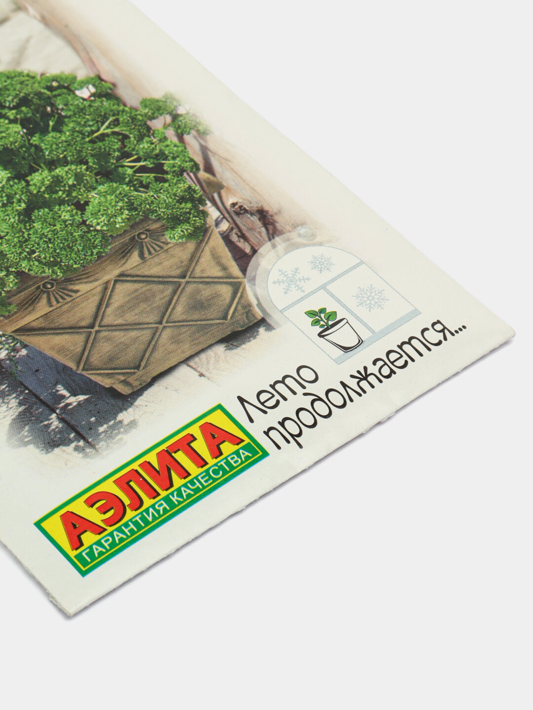 Семена петрушки красотка — фото 1