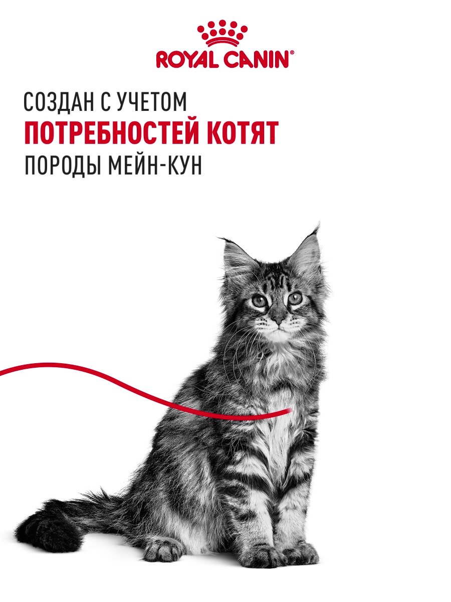 Влажный корм для котят Royal Canin Kitten для породы мейн кун кусочки в соусе, 28 шт по 85 г — фото 1