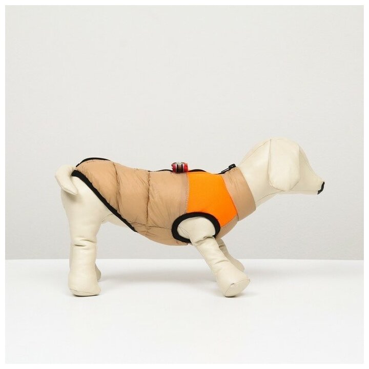 Куртка для собак на молнии, размер 8 (ДС 23 см, ОГ 30, ОШ 22 см), бежевая с оранжевым - фотография № 1