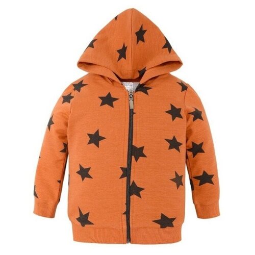 фото Толстовка для девочки, цвет кирпичный, рост 68 см нет бренда