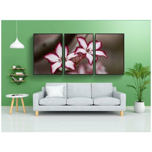 фото Набор модулных постеров для интерьера "цветы, impala лилии, завод" 60x90 см. в тубусе, без рамки lotsprints