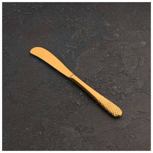 фото Нож для мяса "юлия высоцкая", 23.5 см, цвет золотистый wilmax england