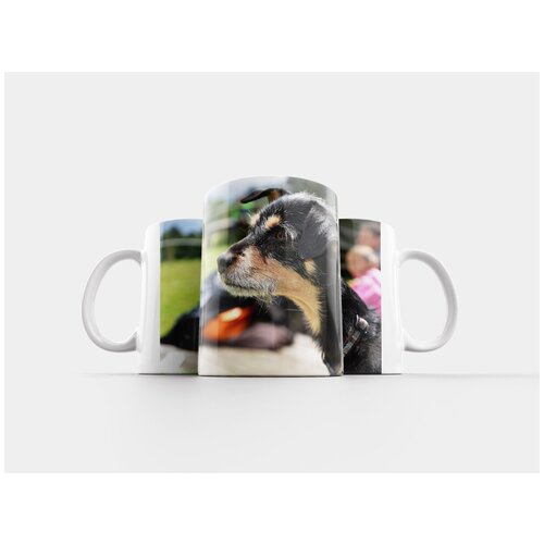 фото Кружка "собака, гибридный, животные" 320 мл lotsprints