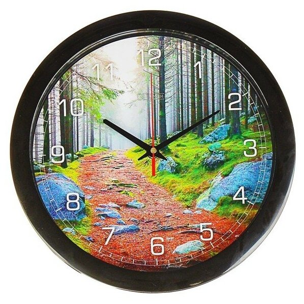 Часы настенные, серия: Природа, "Лесная тропа", плавный ход, d=28 см 2436862