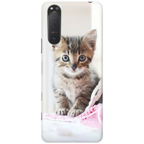 фото Силиконовый чехол на sony xperia 5 ii / сони иксперия 5 2 с принтом "милый котенок" gosso