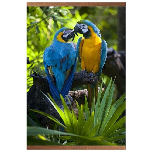 фото Гибкий настенный обогреватель попугаи (для помещений) (60х105 см) домашний очаг