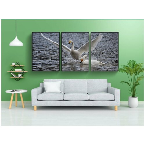 фото Набор модулных постеров для интерьера "животное, озеро, waterside" 60x90 см. в тубусе, без рамки lotsprints