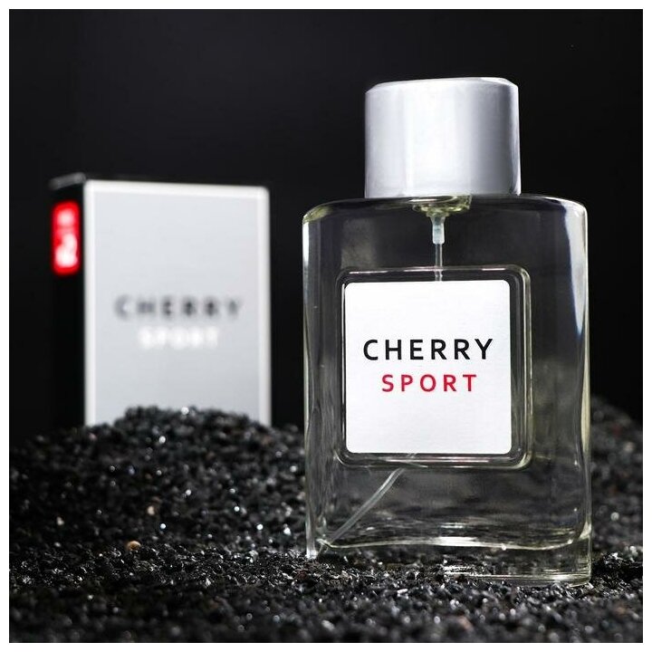 Туалетная вода мужская Cherry Sport, 100 мл 7329769