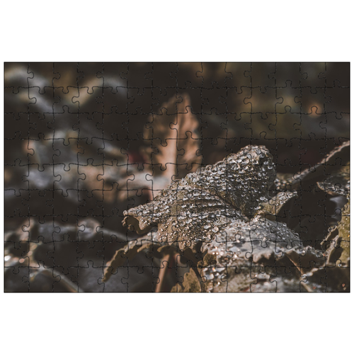 фото Магнитный пазл 27x18см."лезвие, природа, листья" на холодильник lotsprints