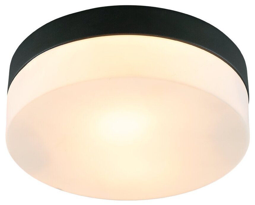 Светильник потолочный Arte Lamp Aqua-Tablet A6047PL-2BK, E27, кол-во ламп:2шт, Черный